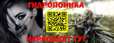 прущие грибы Балашиха