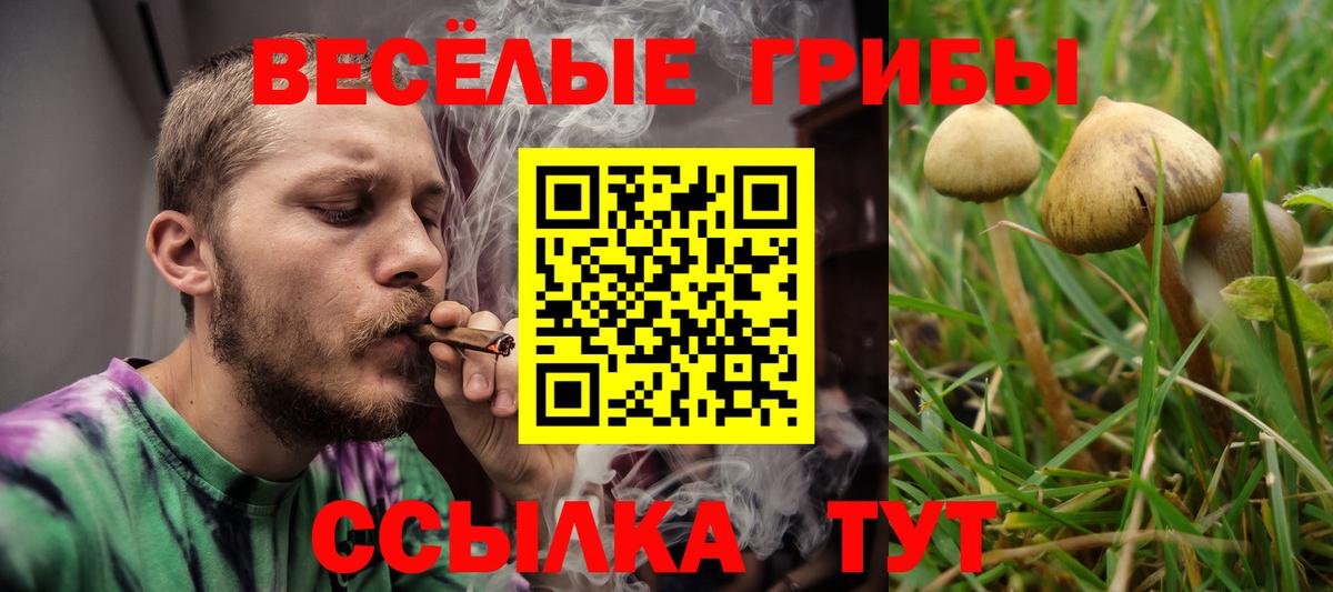 где купить наркоту  Вход с VPN  Артёмовский  Псилоцибиновые грибы мухоморы  Псилоцибиновые грибы прущие грибы 