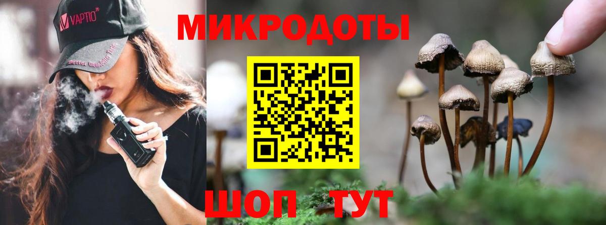 Галлюциногенные грибы Psilocybe Артёмовский